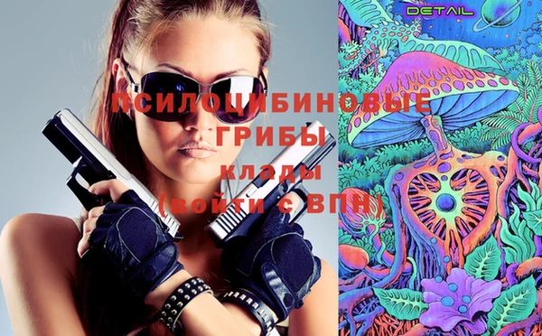 прущий лед Арсеньев